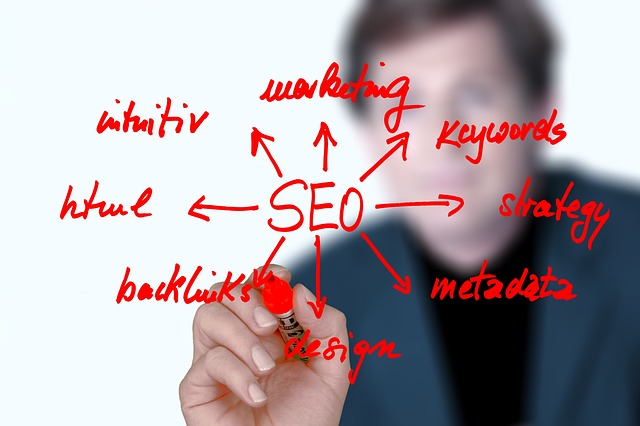 digital marketing strategies for SEO ranking that can leverage a business to greater heights.